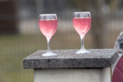 2025_Faschingszug-76-von-156