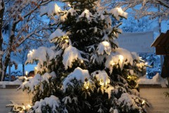 Adventsmarkt 2023 in St. Franziskus