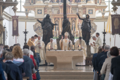 albm23054an83FlsN44r471V9Sxn